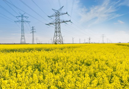 electric wires in field